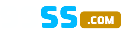 logo 99ss